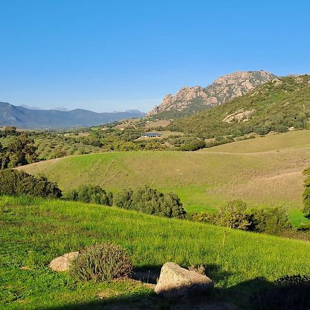 Ferme De Roccapina Bed and Breakfast Sarragia Εξωτερικό φωτογραφία