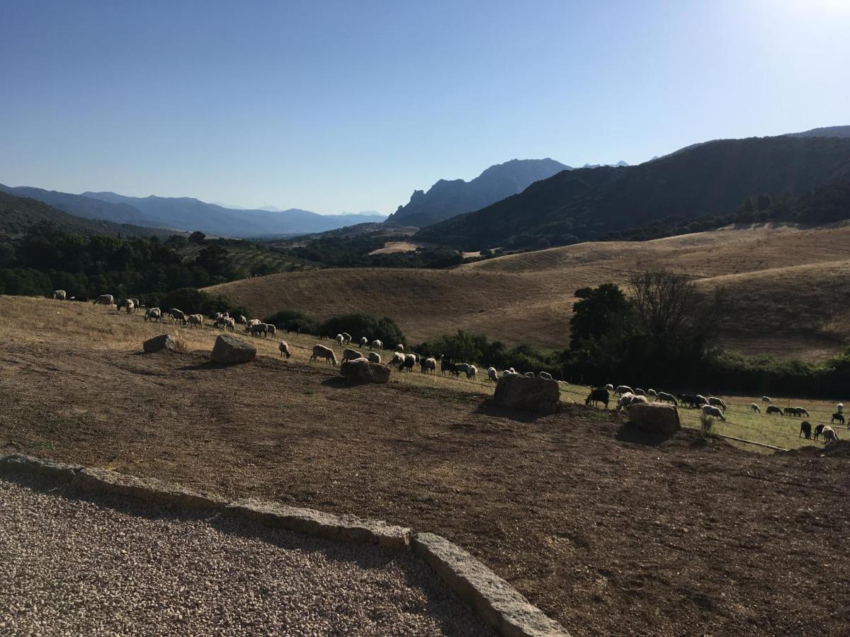 Ferme De Roccapina Bed and Breakfast Sarragia Εξωτερικό φωτογραφία