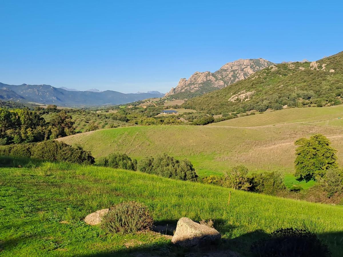 Ferme De Roccapina Bed and Breakfast Sarragia Εξωτερικό φωτογραφία